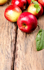 Apples on wooden background. Fresh fruits, organic product, garden concept