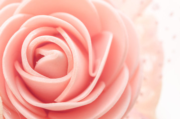 center of rose