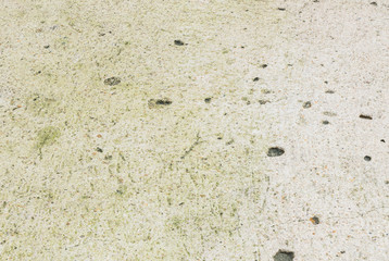 Closeup dirty concrete floor with green water moss texture background