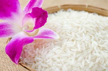 Raw rice with violet orchid flower.