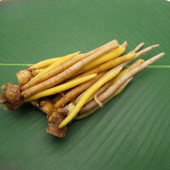 Finger Root, Chinese Ginger