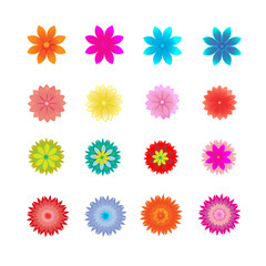 Set of flower vector