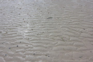 Fototapeta na wymiar Watt, Textur, Sand, Hintergrund
