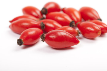 rote reife Hagebutte Früchte auf weißem Hintergrund, 