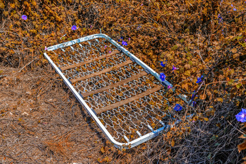 bedspring left in the midst of the weeds