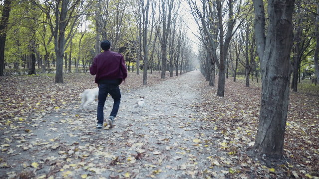 young man playing with two dogs in autumn park