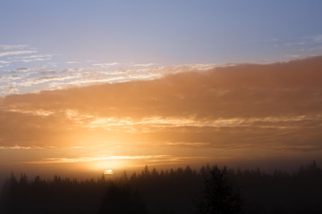Fototapeta na wymiar sunrise over forest
