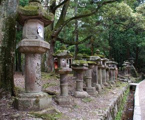 Stone Lanterns in Nara, Japan
