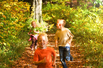 Kinder rennen im leuchtenden Herbstwald - 95620529