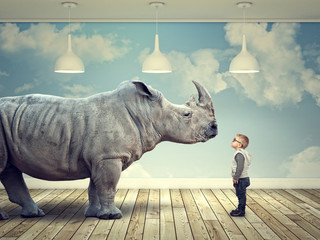  rhinoceros and kid