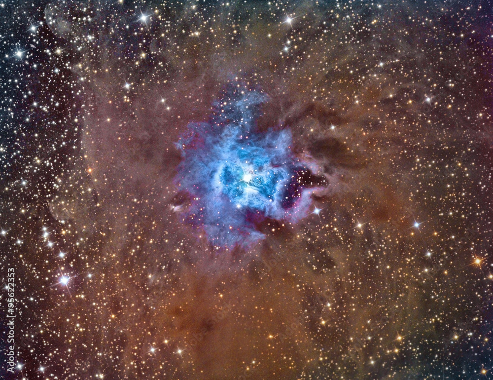 Canvas Prints ngc 7023 iris nebula imaged with a telescope and a scientific ccd camera