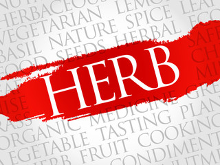 HERB word cloud, health concept