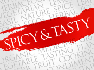 Spicy and tasty word cloud concept