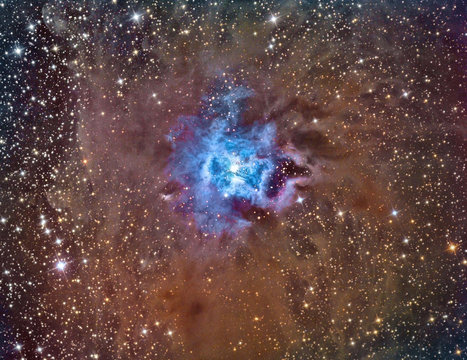NGC 7023 Iris Nebula imaged with a telescope and a scientific CCD camera