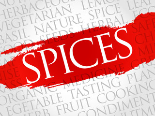 Spices word cloud, health concept