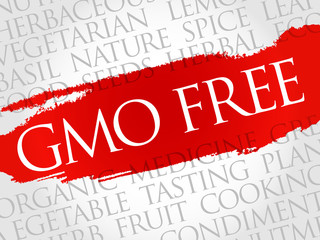 GMO FREE word cloud, health concept