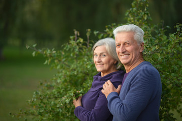 Fototapeta premium couple in autumn park