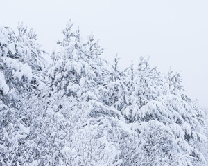 Snow landscape and road