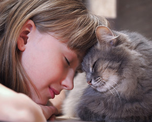 Кот и девочка нос к носу. Нежность, любовь, дружба....