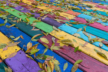 Fallen leaves on a multi-colored wooden boards. Autumn backgroun