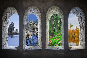 collage of view from the window with the seasons