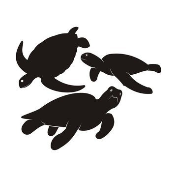 Turtle Silhouette Vector. Set of turtle and tortoise silhouette, vector
