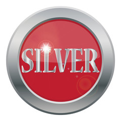 Silver Icon