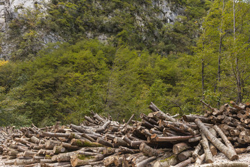 Legname accatastato in montagna