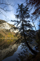 Obraz na płótnie Canvas Herbst am Leopoldsteinersee in der Steiermark,Österreich