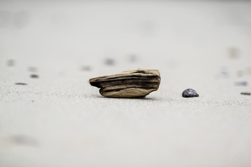 Drewno na plaży