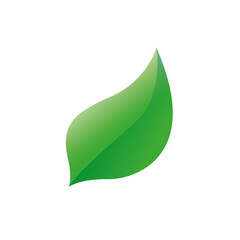 leaf logo icon