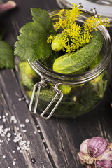 Pickled cucumbers with dill, garlic, sea salt and herbs in a glass jar over black rustic background. Rustic style. Selective focus