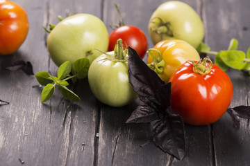 Green unripe and red ripe tomatoes with herbs (basil and oregano) over old wooden table. Dark rustic style. Selective focus