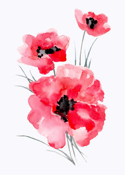 Watercolor illustration of ared flower on a white background.