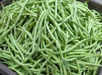 Fresh snap beans in a basket