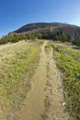 Fototapeta na wymiar Dirt Path Appalachian Mountains