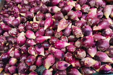 Purple cactus fruit