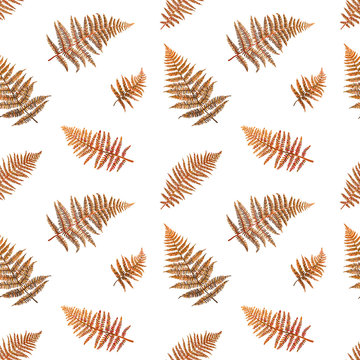 Red fern vector seamless pattern