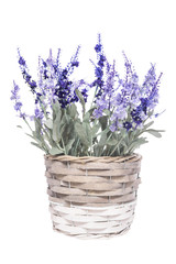 Basket with flowers.