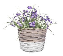 Basket with flowers.