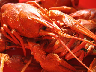 Вареные раки