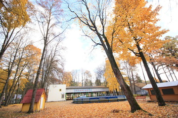 Visiting old amusement park