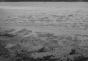 ebb tide at andaman , footprint on mud beside the sea
