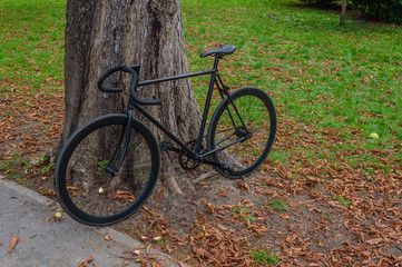 Fototapeta premium Black bicycle