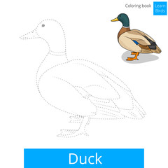 Duck bird learn to draw vector