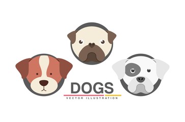 veterinary centre design 