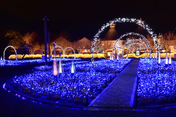 Fototapete bei efototapeten.de bestellen   