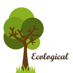 ecological mind design 