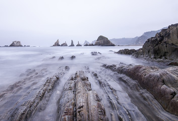 Wild Coastline