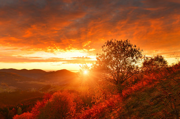 Sunrise in autumn countryside